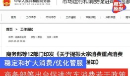 商务部规定的汽车能买吗（商务部汽车消费政策）