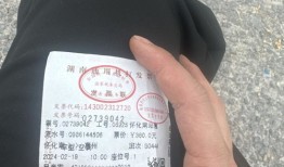 订汽车票的商务车是什么（订汽车票的商务车是什么意思啊）