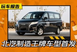 王牌汽车商务车多少钱（王牌车型）