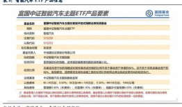 南邮汽车业电子商务案例ppt（汽车电子商务策划书）