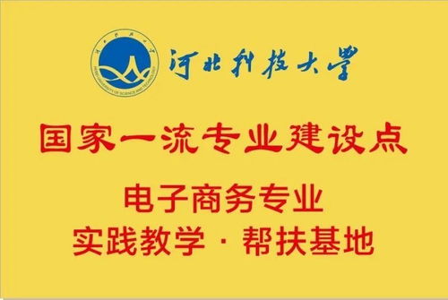 民办本科有电子商务专业吗