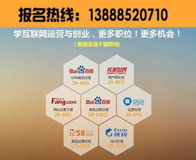 电子商务能招哪些专业的