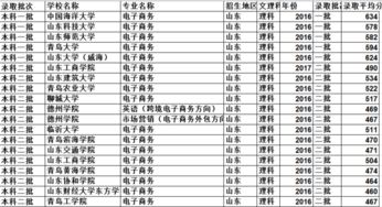 电子商务专业本科的工资