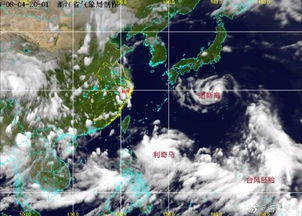 台风蝴蝶登陆海南省，风雨交加，共克时艰