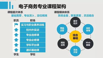 电子商务专业是经济学