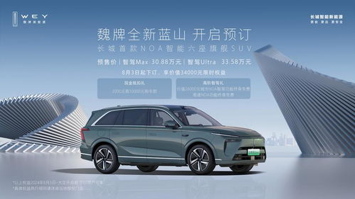 魏牌汽车商务车二手车价格（魏牌轿车）