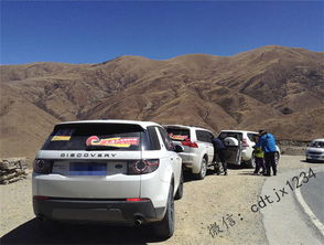 积石山汽车租赁商务车多少钱（积石山汽车租赁公司）