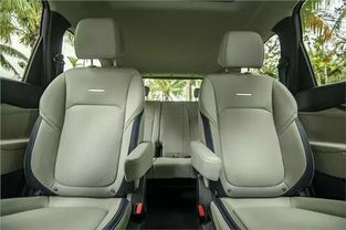 家用商务车Y上汽大通G50汽车（大通g50商务车口碑）