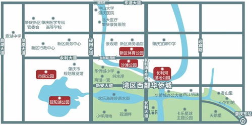 来宾市汽车商务中心地址（来宾市汽车商务中心地址电话）