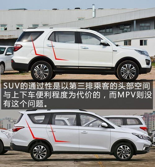 su汽车与商务车有什么区别（商务车和suv）