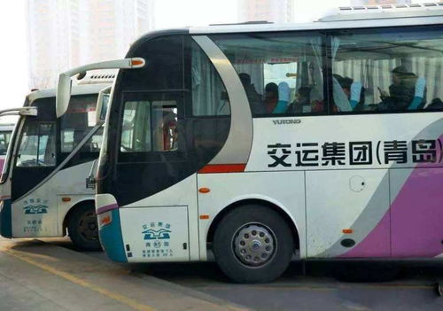 汽车站商务车和小客车区别（汽车站商务车安全吗）