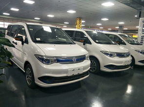最新7座电动汽车商务车（最新7座电动汽车商务车图片）