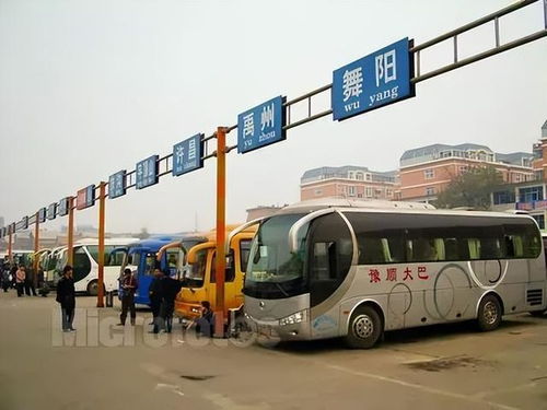 汽车站商务车照片大全图（汽车站的商务车和大巴车区别）